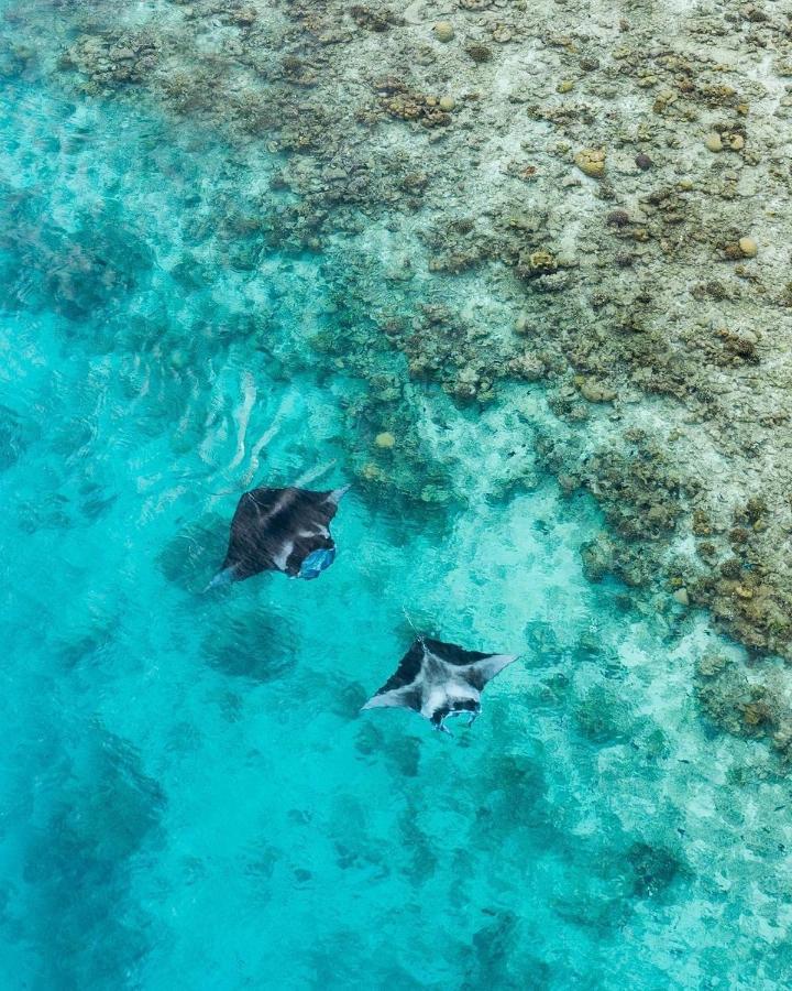 Iru Maldives Hotel Thulusdhoo ภายนอก รูปภาพ